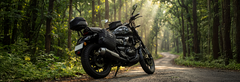 Best Bike Trips in India: South India’s Coffee Trails to Coastal Highways